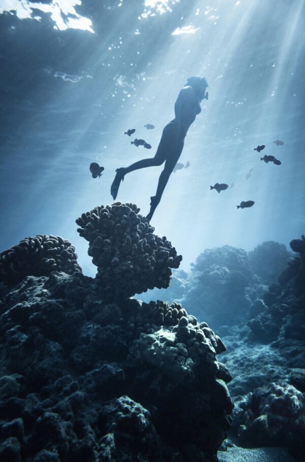 "Scuba diver swimming underwater amidst colorful coral reefs and marine life in a clear ocean."